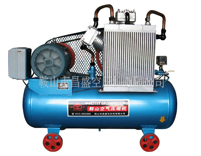 空壓機(jī)細(xì)分市場(chǎng)發(fā)展?fàn)顩r分析。